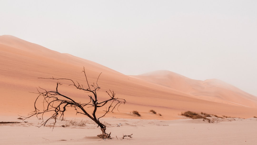 Unlocking the Power of Camegle: How to Maximize Your Online Presence