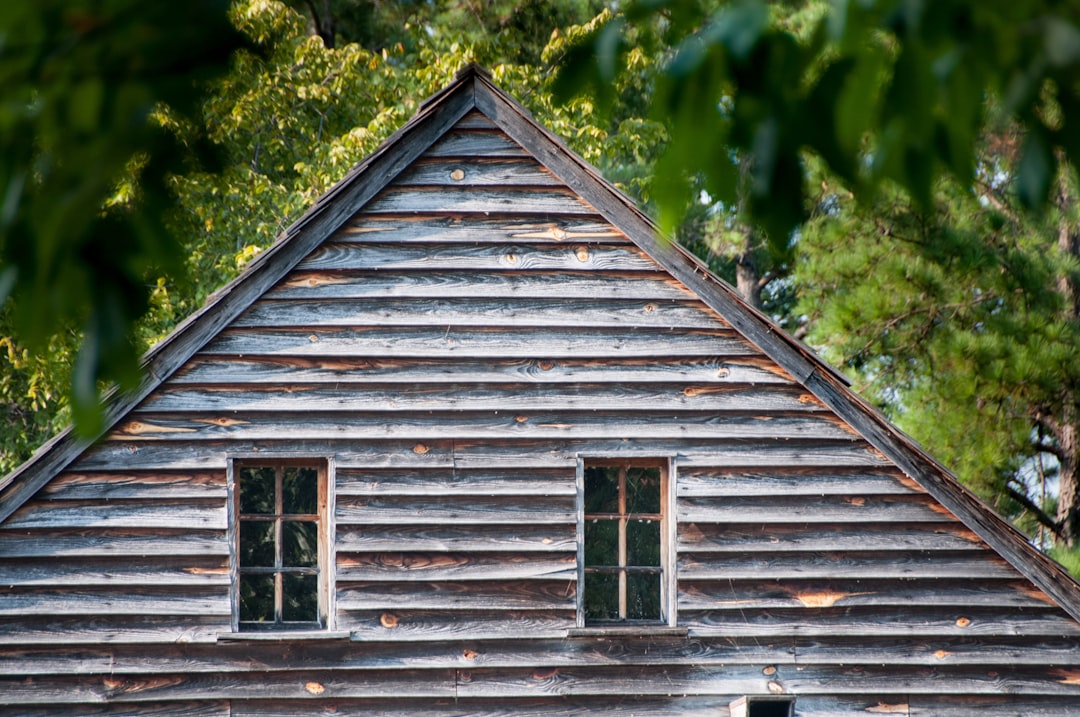 Maximizing Space and Style with Double Barn Door